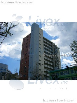 成宗