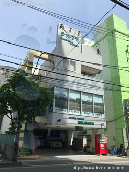 シカクラ