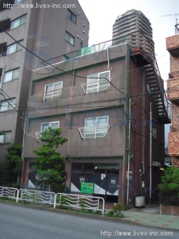 大島葛西
