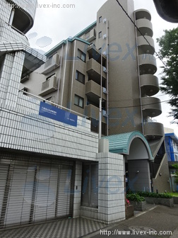 ステラ21