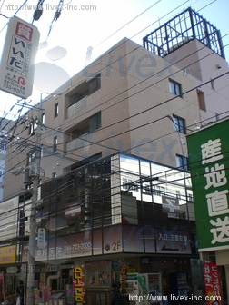 石橋