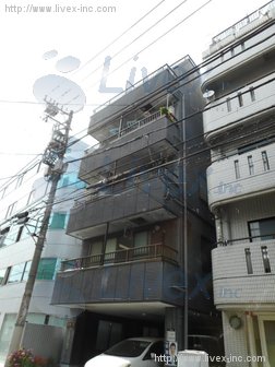 大嶋