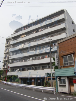 ハイホーム向島