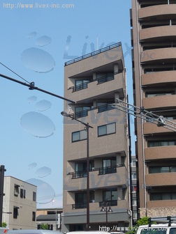 引地