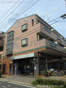 PALAZZO扇