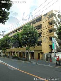 ライオンズ中野東