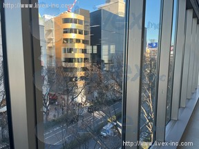 oak omotesando