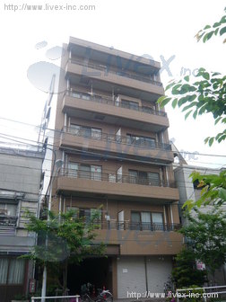 プリヴェ杉