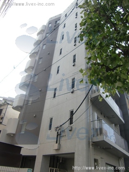 T-court2