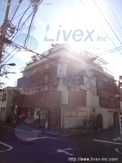 向井