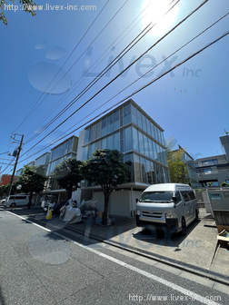 G-FLAT