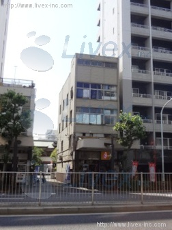 椎野