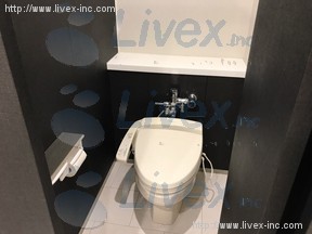 東京パークサイド