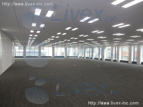 日本橋日銀通り