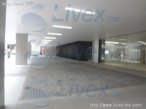 日本橋日銀通り