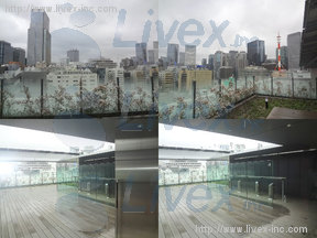 日本橋日銀通り