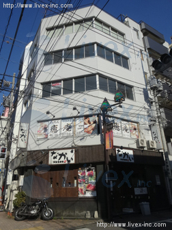 第5春野
