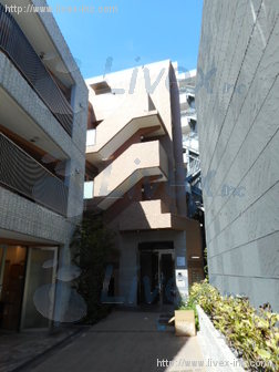 ヒンメルブラウ原宿