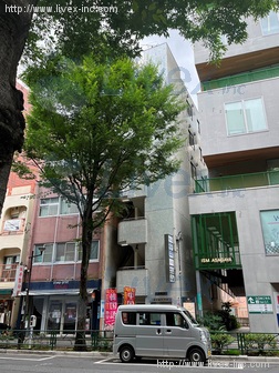 平野