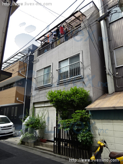 野原