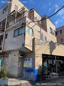 グレードワンヒラタ