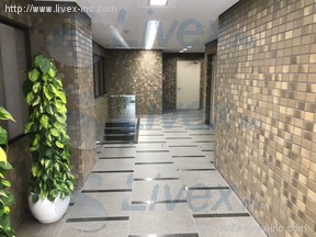 湯島ベアービル
