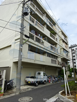 第1愛和