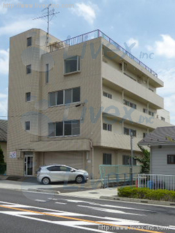 野津田