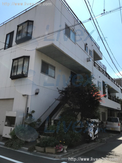 白田