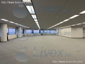 武蔵小杉タワープレイス