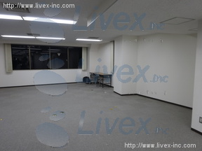 WORK VILLA HIRAKAWACHO(JP-BASE平河町)