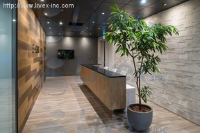 レンタルオフィス・+OURS(プラスアワーズ)八重洲