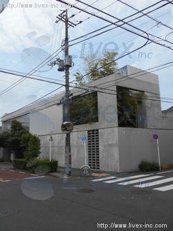 Seijo Croce 549
