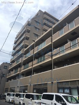 ナビウス新中野