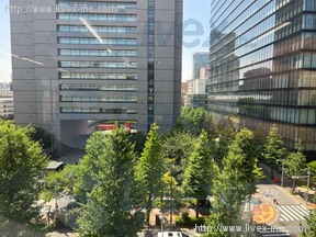 龍名館本店