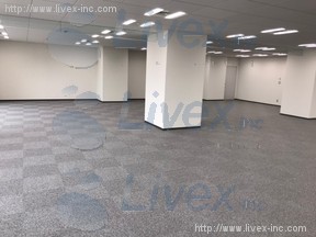 ライズアリーナ