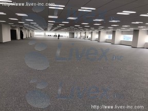 ライズアリーナ