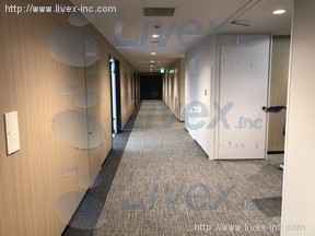 ライズアリーナ