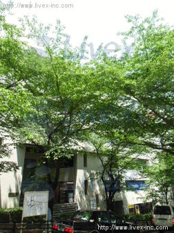船堀