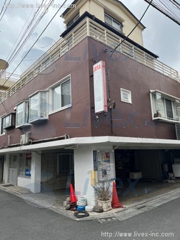 家光