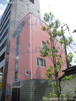 新井
