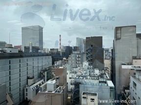 プライム銀座柳通り