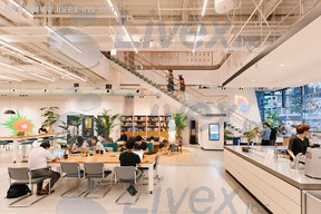 レンタルオフィス・WeWork(ウィーワーク) アイスバーグ