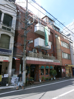 第1歯朶