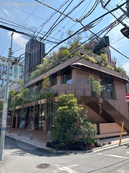 GREEN TERRACE表参道