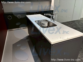 明治薬科大学 剛堂会館