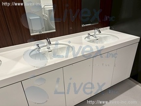 明治薬科大学 剛堂会館