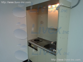 カテリーナ柳通り