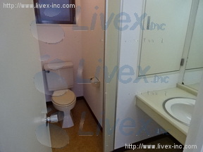 カテリーナ柳通り