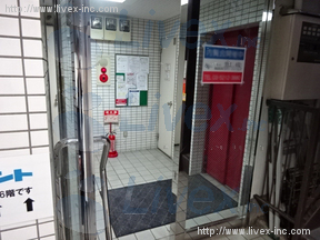 カテリーナ柳通り